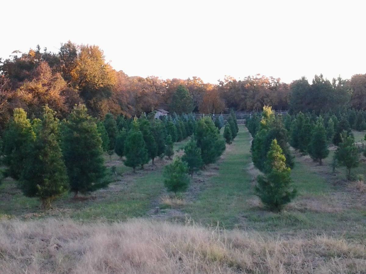 Kelumac Christmas Tree Farm B&B Bryan Exterior photo